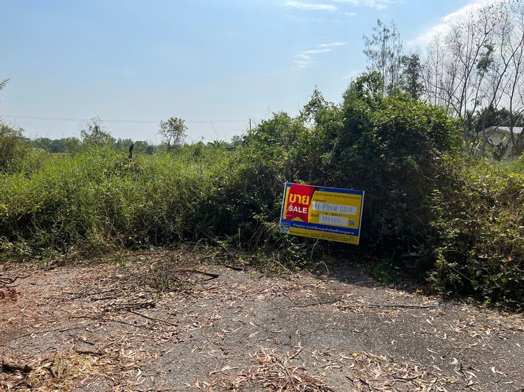 ใช่ 💖 ที่ดิน หนองเสือ ราคาพิเศษ! 💖 รูปที่ 2