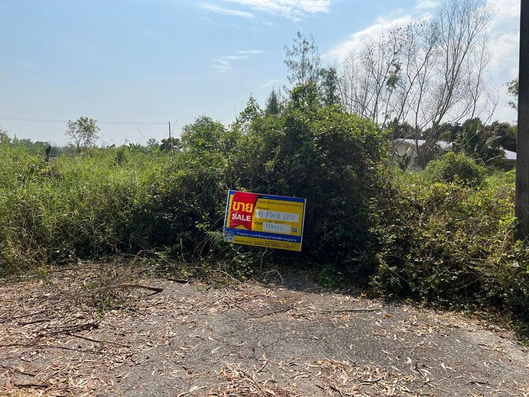 💖 ที่ดิน หนองเสือ ราคาพิเศษ! 💖