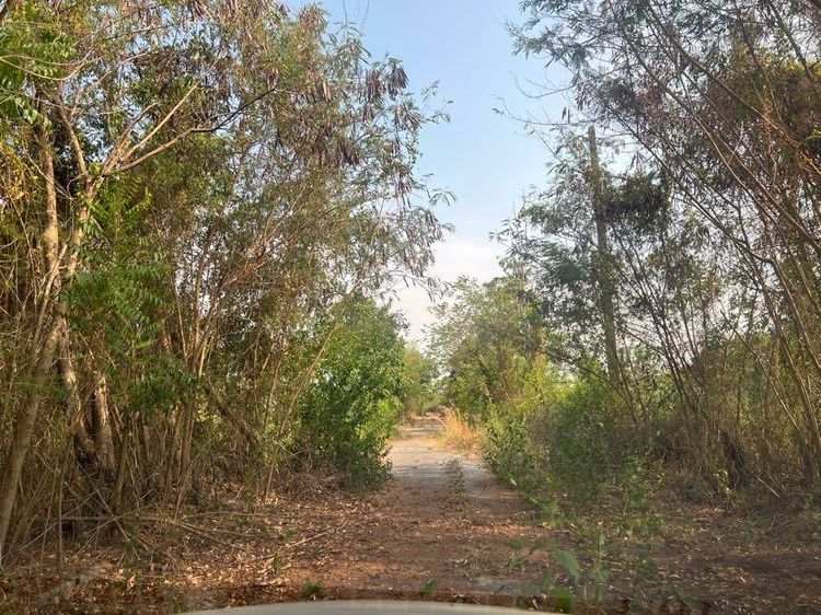 ใช่ 💖 ที่ดิน หนองเสือ ราคาพิเศษ! 💖 รูปที่ 3