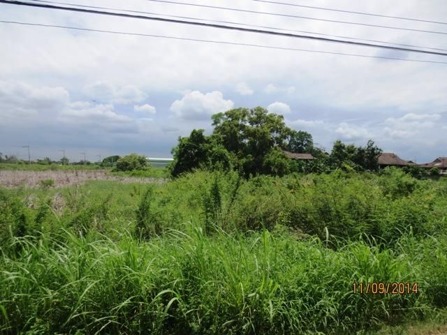 ใช่ 💖 ที่ดิน ธัญบุรี ราคาพิเศษ! 💖 รูปที่ 2