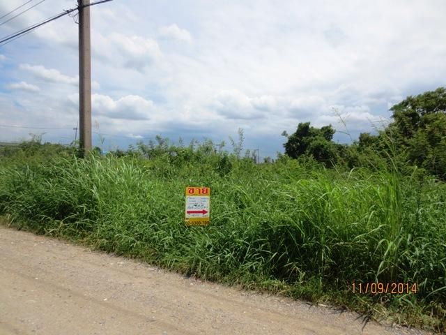 ใช่ 💖 ที่ดิน ธัญบุรี ราคาพิเศษ! 💖 รูปที่ 4