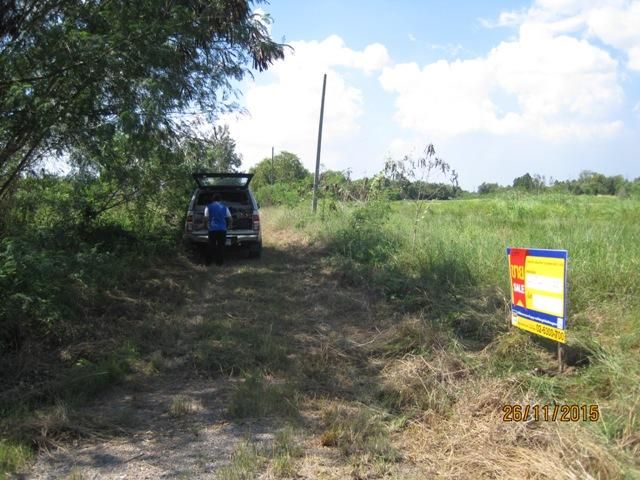 ใช่ 💖 ที่ดิน หนองเสือ ราคาพิเศษ! 💖 รูปที่ 3