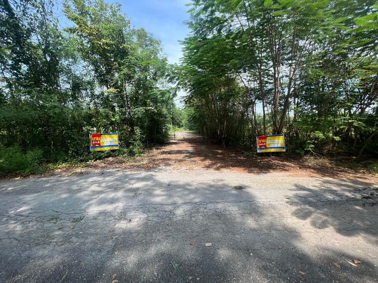 💖 ที่ดิน หนองเสือ ราคาพิเศษ! 💖