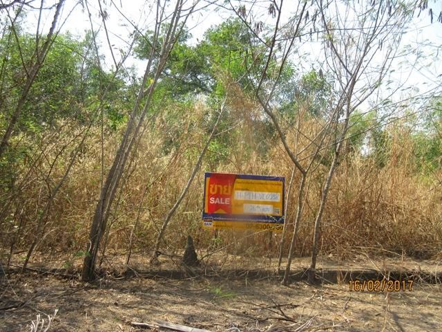 💖 ที่ดิน หนองเสือ ราคาพิเศษ! 💖