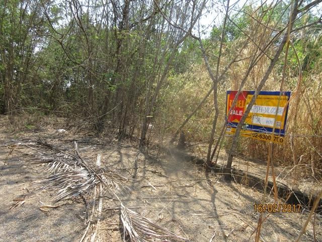 ใช่ 💖 ที่ดิน หนองเสือ ราคาพิเศษ! 💖 รูปที่ 3