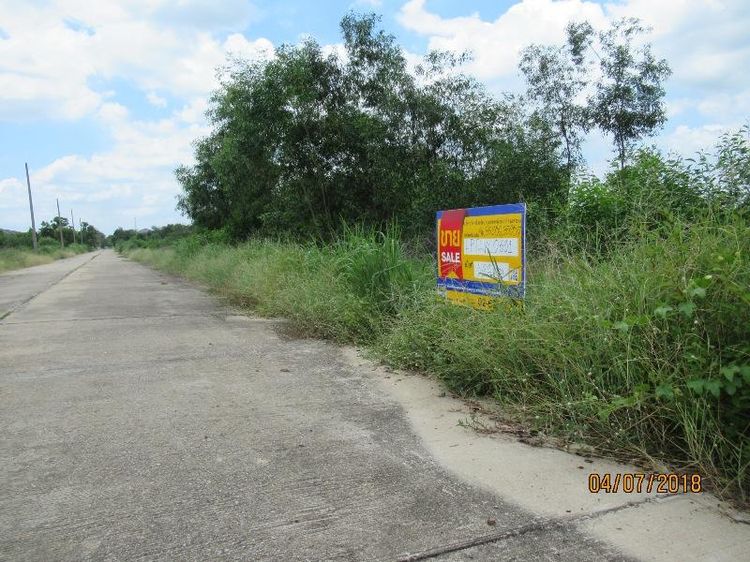 ใช่ 💖 ที่ดิน หนองเสือ ราคาพิเศษ! 💖 รูปที่ 2