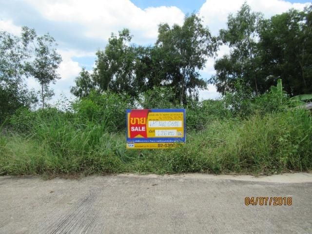 💖 ที่ดิน หนองเสือ ราคาพิเศษ! 💖