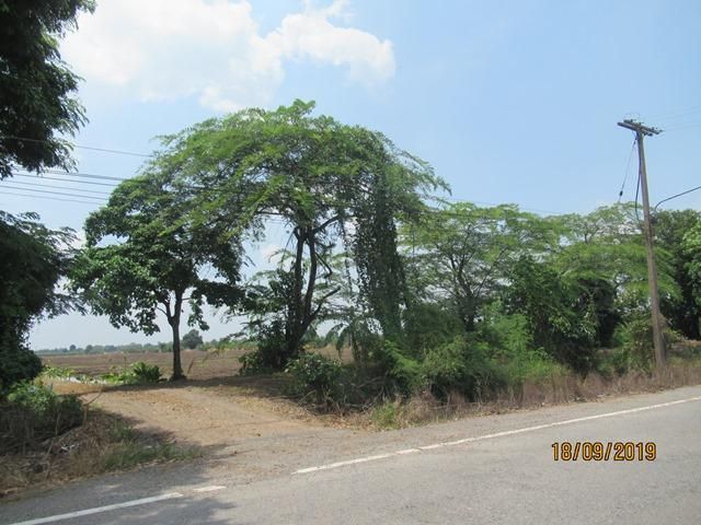 💖 ที่ดิน หนองเสือ ราคาพิเศษ! 💖