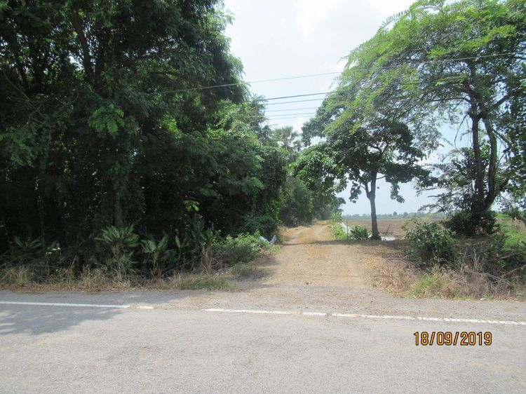 ใช่ 💖 ที่ดิน หนองเสือ ราคาพิเศษ! 💖 รูปที่ 2