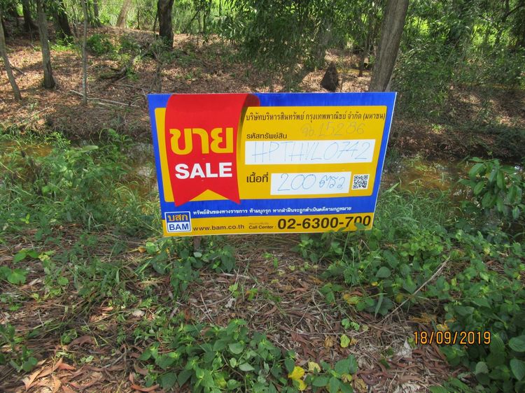 ใช่ 💖 ที่ดิน หนองเสือ ราคาพิเศษ! 💖 รูปที่ 4