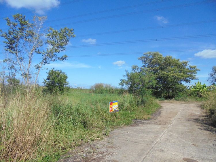 ใช่ 💖 ที่ดิน ลำลูกกา ราคาพิเศษ! 💖 รูปที่ 3