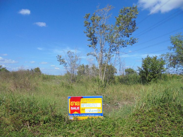 💖 ที่ดิน ลำลูกกา ราคาพิเศษ! 💖