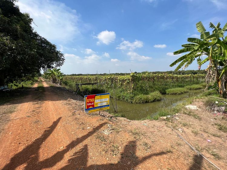 ใช่ 💖 ที่ดิน หนองเสือ ราคาพิเศษ! 💖