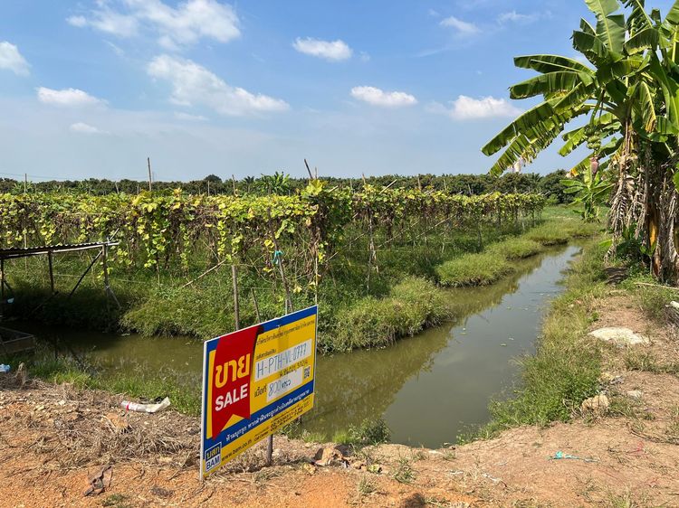 ใช่ 💖 ที่ดิน หนองเสือ ราคาพิเศษ! 💖 รูปที่ 3