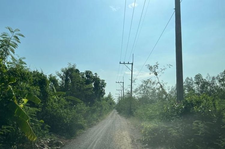 ใช่ 💖 ที่ดิน หนองเสือ ราคาพิเศษ! 💖 รูปที่ 4