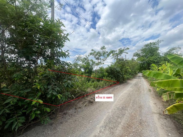 ใช่ 💖 ที่ดิน หนองเสือ ราคาพิเศษ! 💖 รูปที่ 3