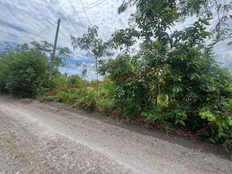 ใช่ 💖 ที่ดิน หนองเสือ ราคาพิเศษ! 💖 รูปที่ 2