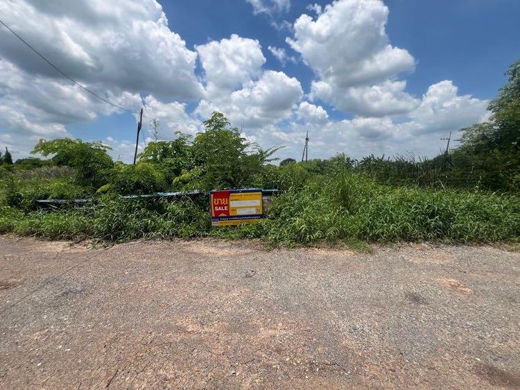 💖 ที่ดิน หนองเสือ ราคาพิเศษ! 💖