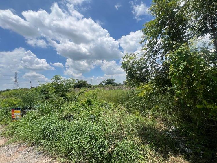 ใช่ 💖 ที่ดิน หนองเสือ ราคาพิเศษ! 💖 รูปที่ 4