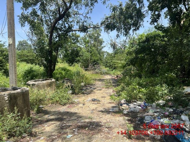 💖 ที่ดิน หนองเสือ ราคาพิเศษ! 💖