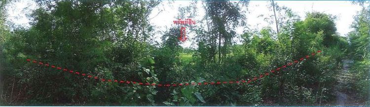 ใช่ 💖 ที่ดิน หนองเสือ ราคาพิเศษ! 💖 รูปที่ 3