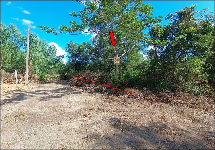 ใช่ 💖 ที่ดิน เสลภูมิ ราคาพิเศษ! 💖 รูปที่ 3