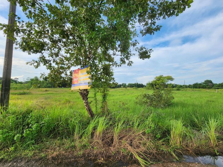 ใช่ 💖 ที่ดิน สว่างแดนดิน ราคาพิเศษ! 💖 รูปที่ 2