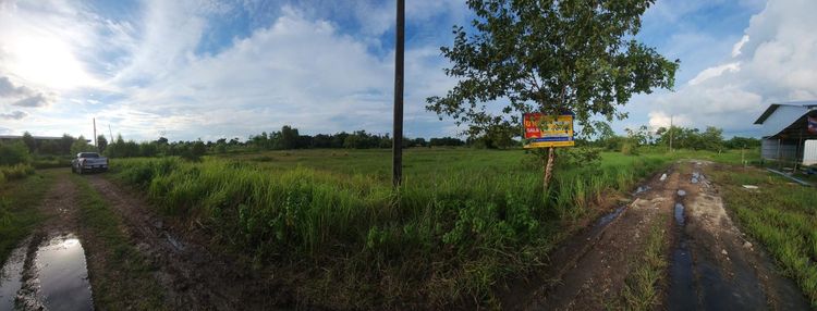 ใช่ 💖 ที่ดิน สว่างแดนดิน ราคาพิเศษ! 💖 รูปที่ 3