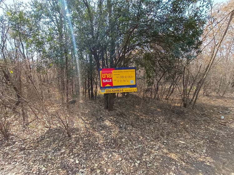 💖 ที่ดิน อู่ทอง ราคาพิเศษ! 💖