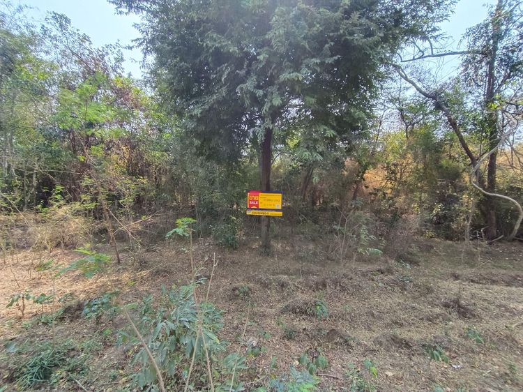 ใช่ 💖 ที่ดิน อู่ทอง ราคาพิเศษ! 💖 รูปที่ 2