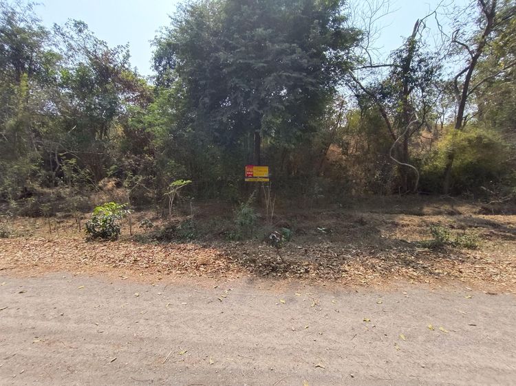 ใช่ 💖 ที่ดิน อู่ทอง ราคาพิเศษ! 💖 รูปที่ 3