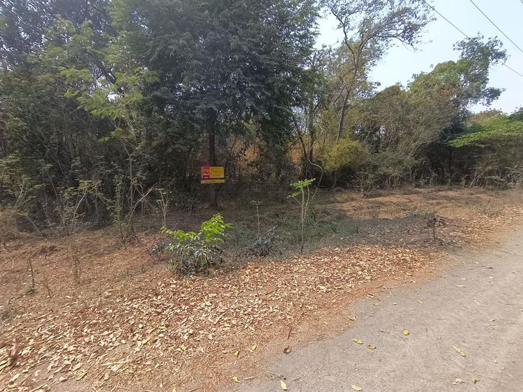 💖 ที่ดิน อู่ทอง ราคาพิเศษ! 💖