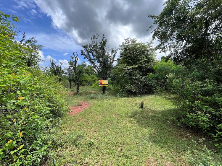 ใช่ 💖 ที่ดิน อู่ทอง ราคาพิเศษ! 💖 รูปที่ 3