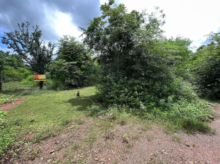 💖 ที่ดิน อู่ทอง ราคาพิเศษ! 💖