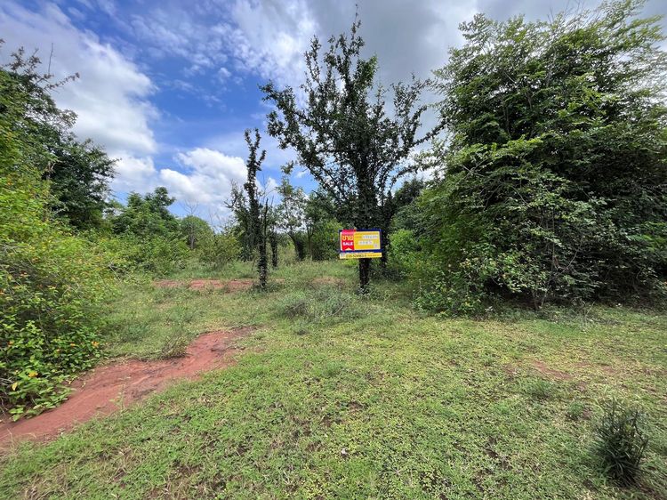 ใช่ 💖 ที่ดิน อู่ทอง ราคาพิเศษ! 💖 รูปที่ 4