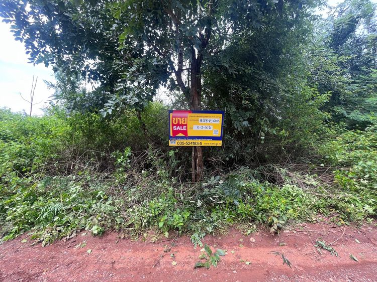 ใช่ 💖 ที่ดิน อู่ทอง ราคาพิเศษ! 💖 รูปที่ 4