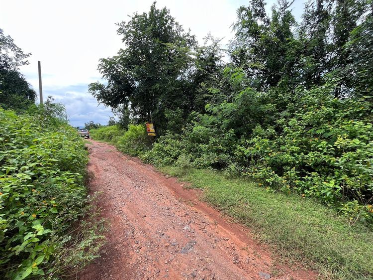 ใช่ 💖 ที่ดิน อู่ทอง ราคาพิเศษ! 💖 รูปที่ 3