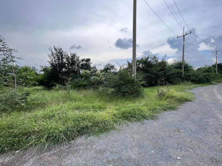 ใช่ 💖 ที่ดิน อู่ทอง ราคาพิเศษ! 💖 รูปที่ 4