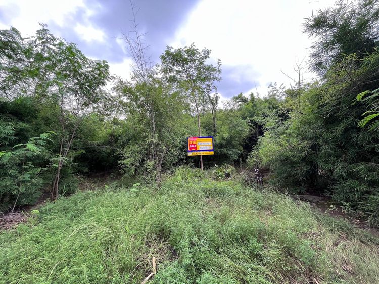 💖 ที่ดิน อู่ทอง ราคาพิเศษ! 💖