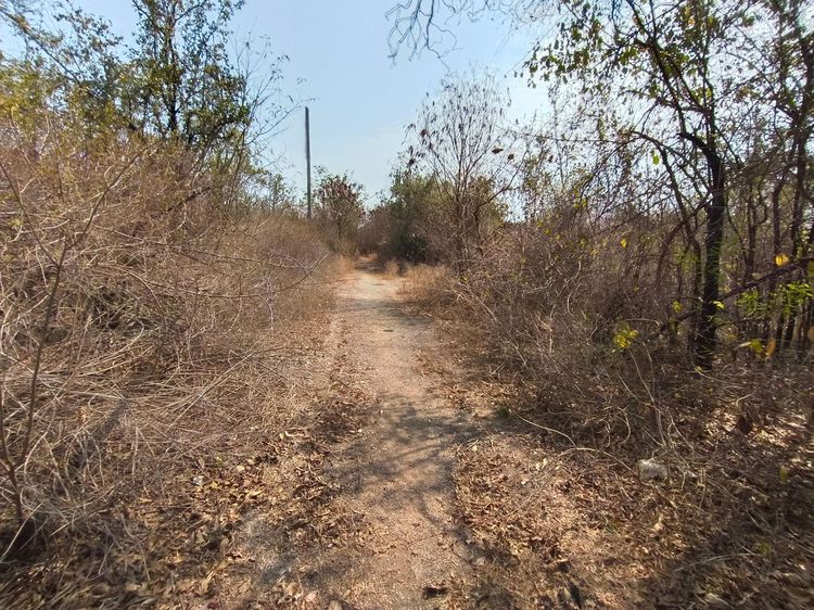 ใช่ 💖 ที่ดิน อู่ทอง ราคาพิเศษ! 💖 รูปที่ 4