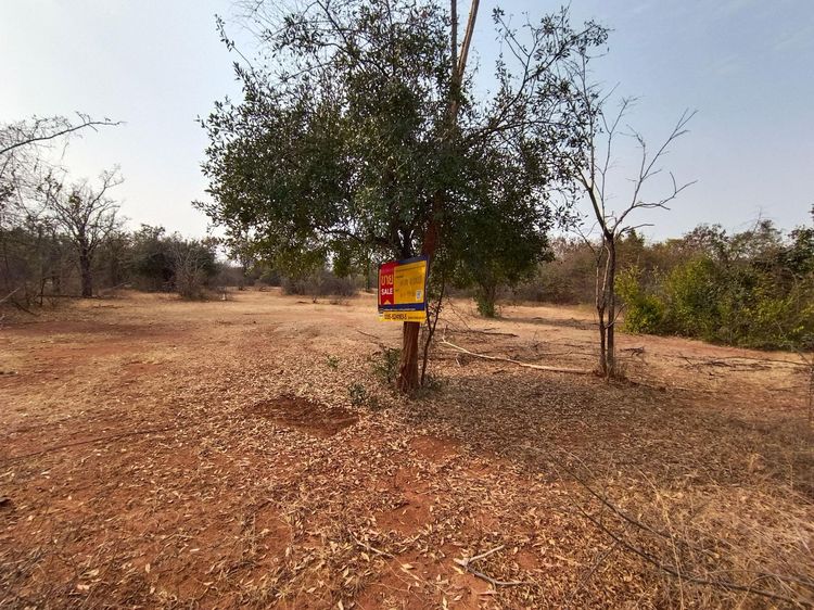 ใช่ 💖 ที่ดิน อู่ทอง ราคาพิเศษ! 💖 รูปที่ 3