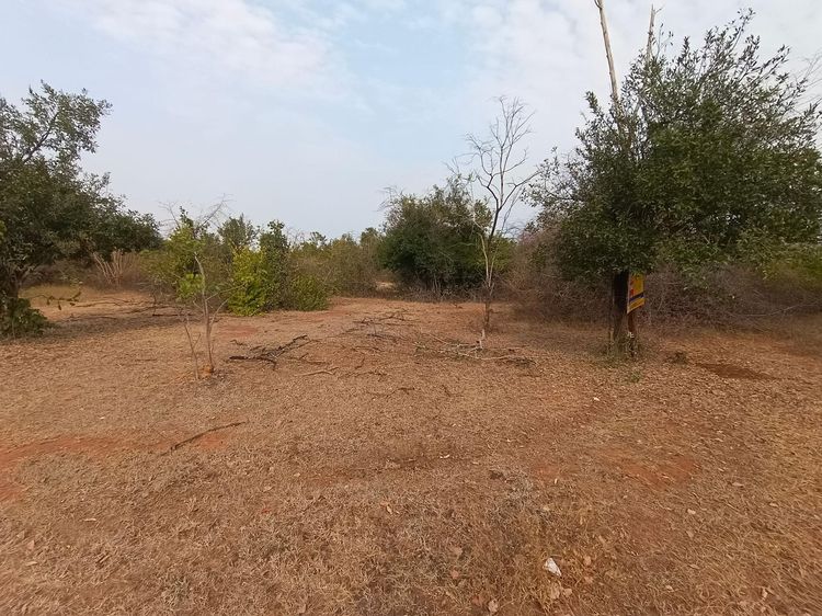 ใช่ 💖 ที่ดิน อู่ทอง ราคาพิเศษ! 💖 รูปที่ 4