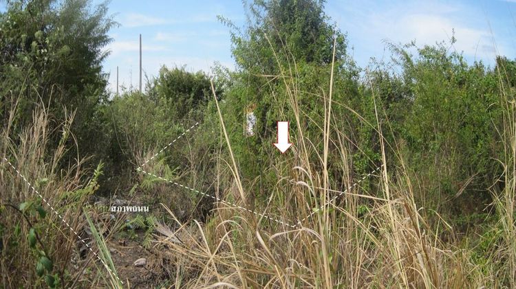 💖 ที่ดิน เมืองอุบลราชธานี ราคาพิเศษ! 💖