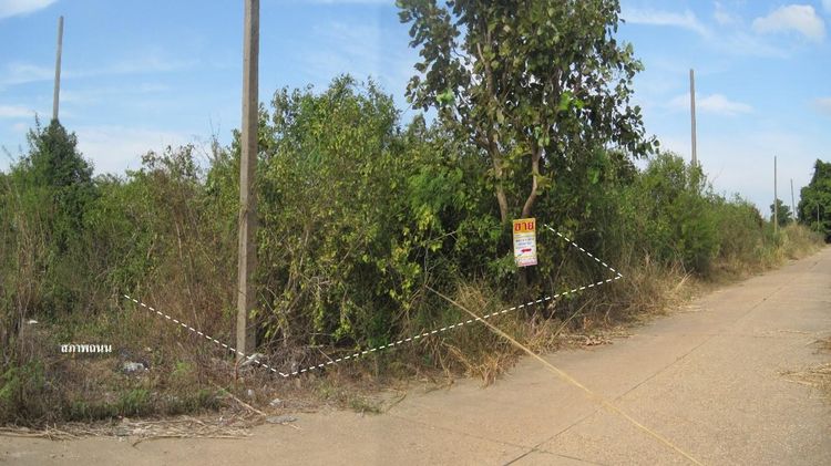 💖 ที่ดิน เมืองอุบลราชธานี ราคาพิเศษ! 💖