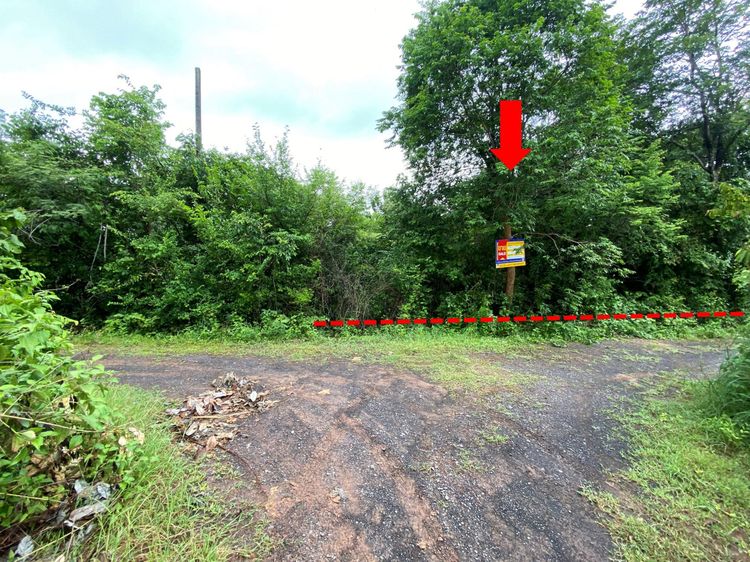 ใช่ 💖 ที่ดิน กิ่งอำเภอสว่างวีระวงศ์ ราคาพิเศษ! 💖