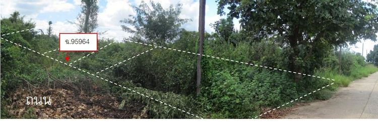 💖 ที่ดิน เมืองอุบลราชธานี ราคาพิเศษ! 💖