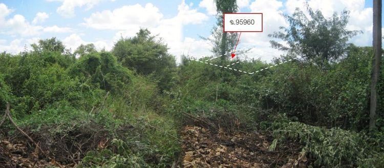 💖 ที่ดิน เมืองอุบลราชธานี ราคาพิเศษ! 💖