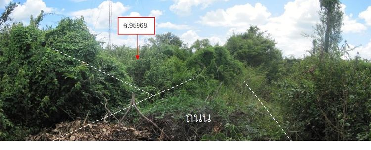 💖 ที่ดิน เมืองอุบลราชธานี ราคาพิเศษ! 💖