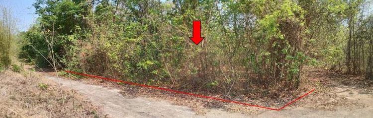 ใช่ 💖 ที่ดิน หนองหาน ราคาพิเศษ! 💖 รูปที่ 3