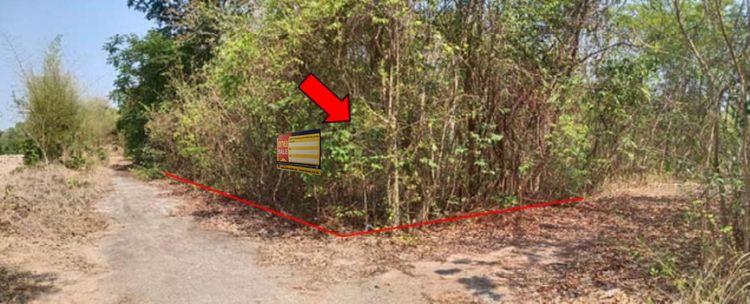 💖 ที่ดิน หนองหาน ราคาพิเศษ! 💖